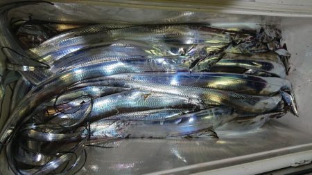 シースナイパー海龍 釣果