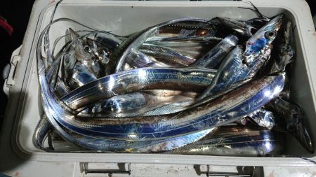 シースナイパー海龍 釣果