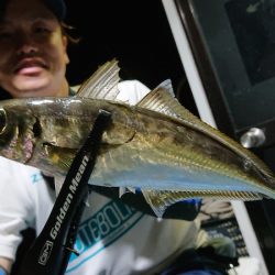 シースナイパー海龍 釣果