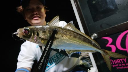 シースナイパー海龍 釣果