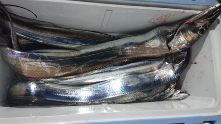 シースナイパー海龍 釣果