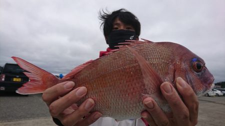 第三共栄丸 釣果