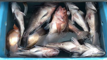 第二八坂丸 釣果