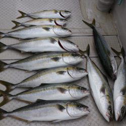 浜栄丸 釣果