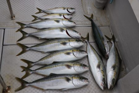 浜栄丸 釣果