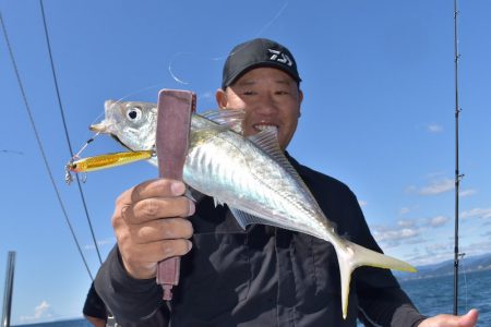 渡船屋たにぐち 釣果