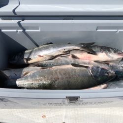 第二　つれたか丸 釣果