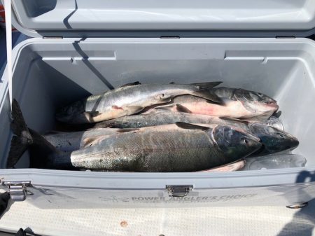 第二　つれたか丸 釣果