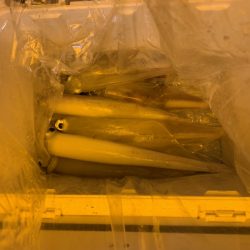 海龍丸(石川) 釣果