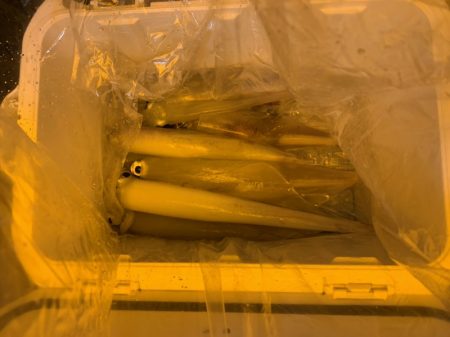 海龍丸(石川) 釣果