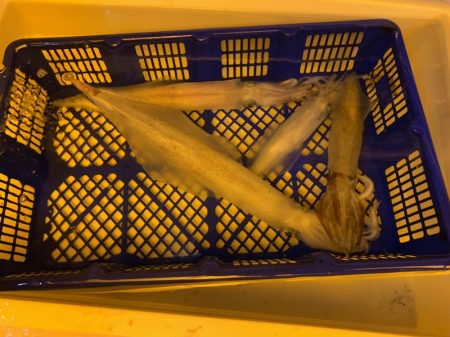 海龍丸(石川) 釣果