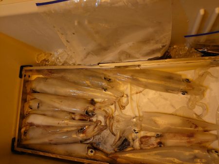 海龍丸（石川） 釣果