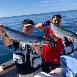 第二　つれたか丸 釣果
