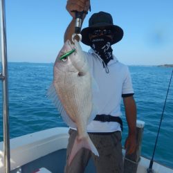 きずなまりん 釣果