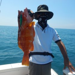 きずなまりん 釣果