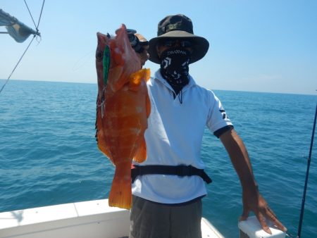 きずなまりん 釣果