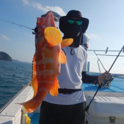 きずなまりん 釣果