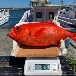 晃山丸 釣果