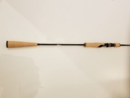 アマテラス 釣果