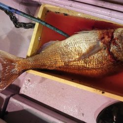 海龍丸（石川） 釣果