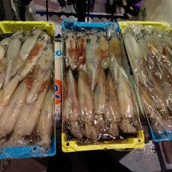 海龍丸（石川） 釣果