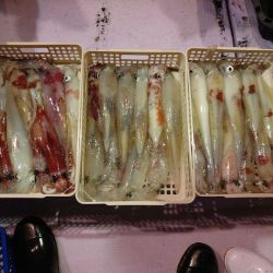 海龍丸（石川） 釣果