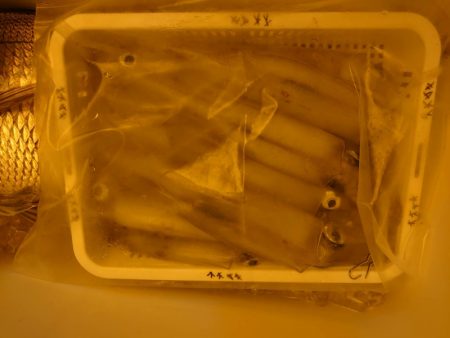 海龍丸（石川） 釣果