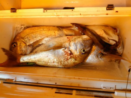 海龍丸（石川） 釣果