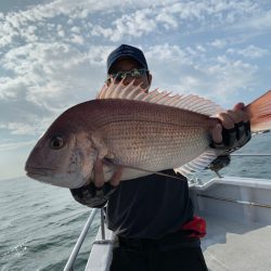 ランスルー 釣果