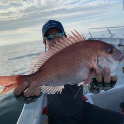 ランスルー 釣果