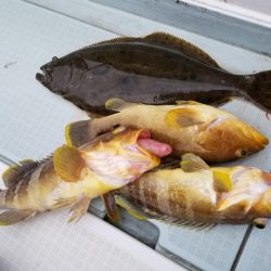 アマテラス 釣果