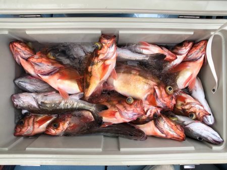 第二八坂丸 釣果