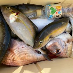 龍神丸(鹿児島) 釣果