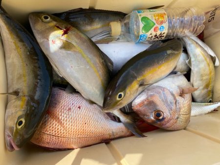 龍神丸(鹿児島) 釣果