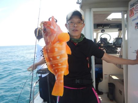 きずなまりん 釣果