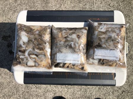 遊漁船高橋 釣果