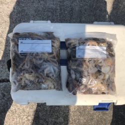 遊漁船高橋 釣果