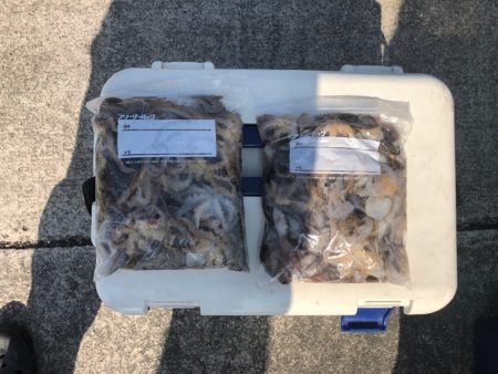 遊漁船高橋 釣果