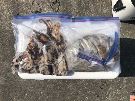 遊漁船高橋 釣果