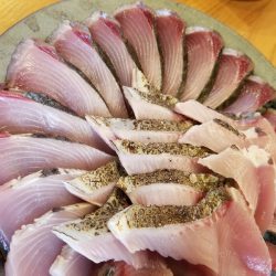 アマテラス 釣果