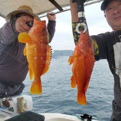 ソルトウォーターガイドフレンズ 釣果