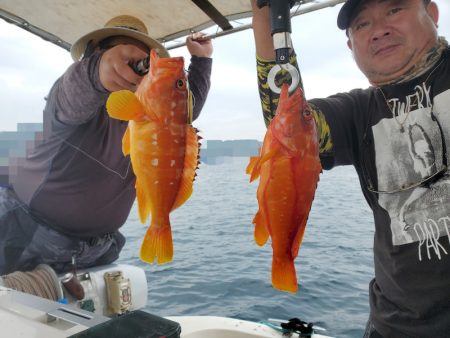 ソルトウォーターガイドフレンズ 釣果