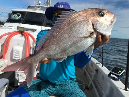 ランスルー 釣果