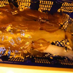 海龍丸（石川） 釣果