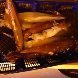 海龍丸（石川） 釣果