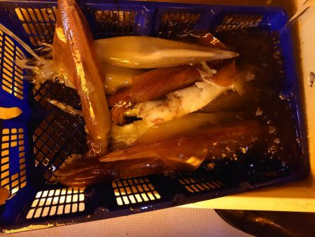 海龍丸（石川） 釣果