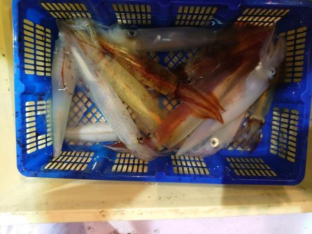 海龍丸（石川） 釣果