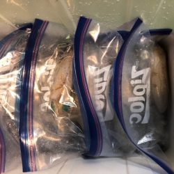 第二八坂丸 釣果