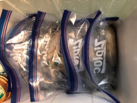 第二八坂丸 釣果