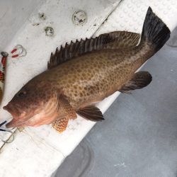 渡船屋たにぐち 釣果